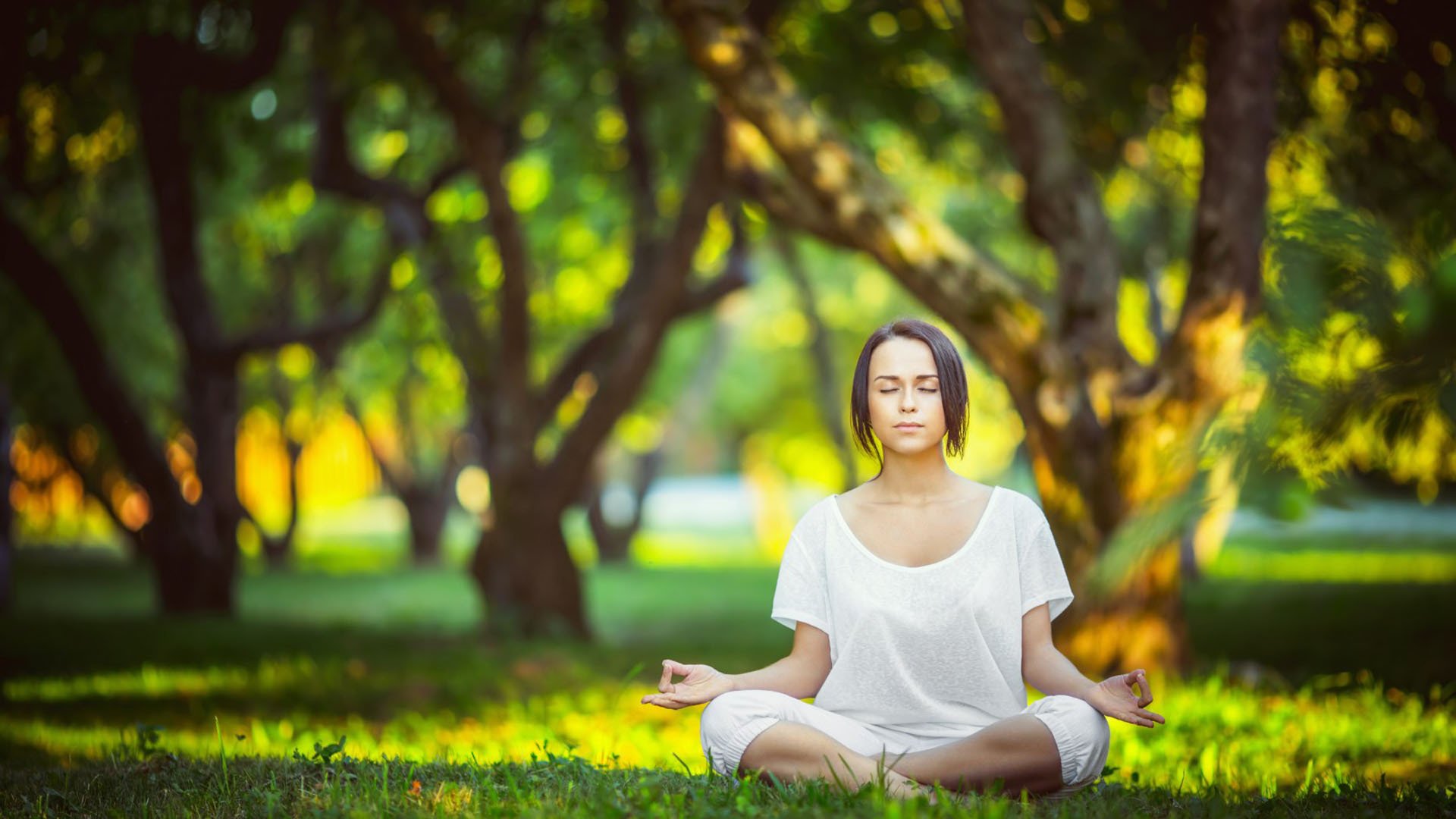开云体育中心-格列兹曼帽子戏法闪耀诺坎普,武磊后防线千疮百孔—西甲冰火两重天,格列兹曼帽子戏法闪耀诺坎普,武磊后防线千疮百孔